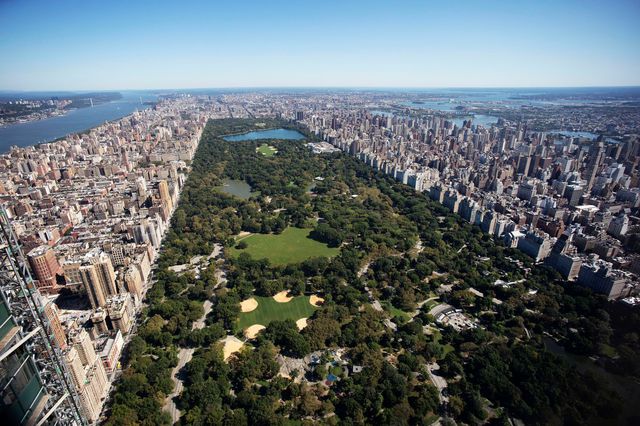 Central Park from above
